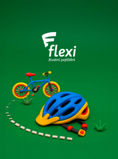 Životní pojištění Flexi - Case study